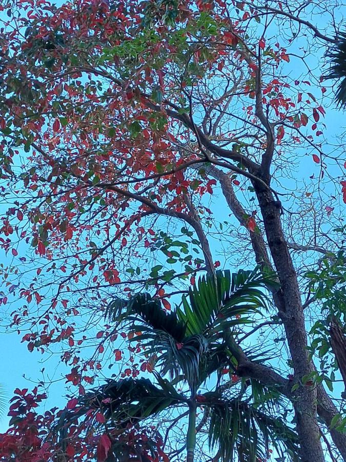 Adhvasaha Beach Spa Resort Port Blair Esterno foto