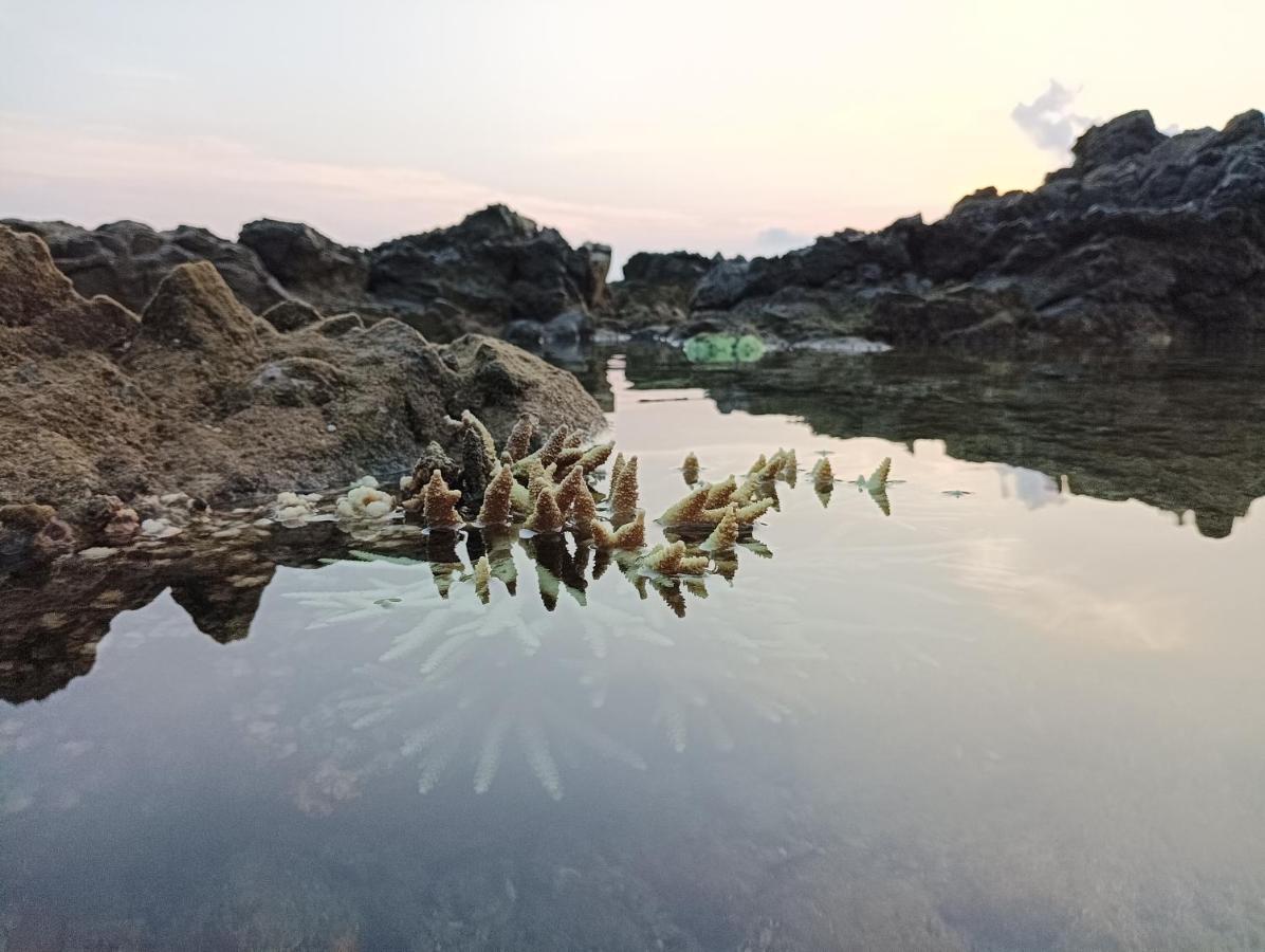 Adhvasaha Beach Spa Resort Port Blair Esterno foto